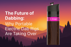 portable electric dab rig