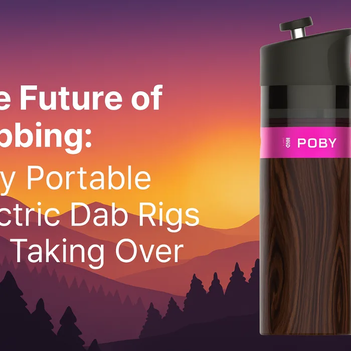 portable electric dab rig